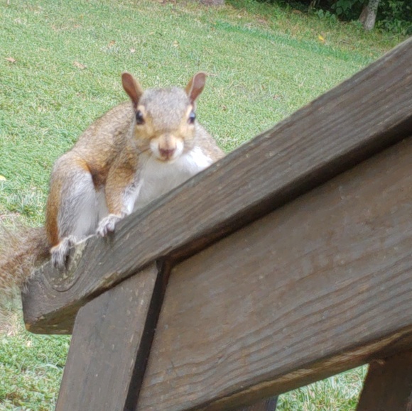 Hey! I'm Megan π  - Picture 2 of 3